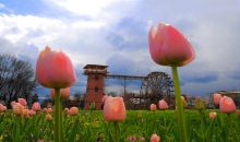 Kentpark'da Bahar